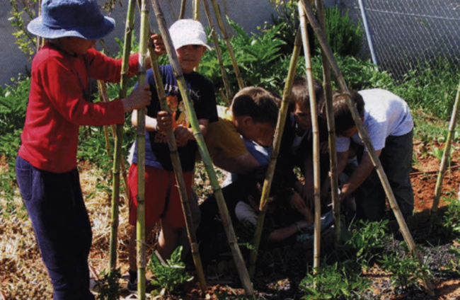 Huerto Kindergarten