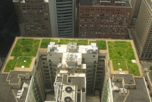 Green roof of City Hall in Chicago Illinois